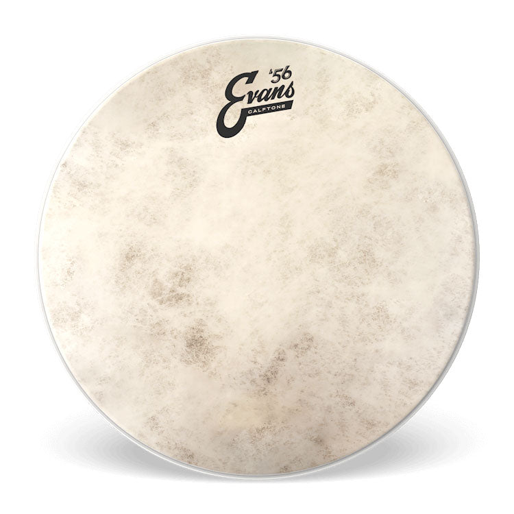 Evans Calftone 10" Drum Head